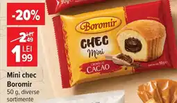 Carrefour Mini chec Boromir Ofertă