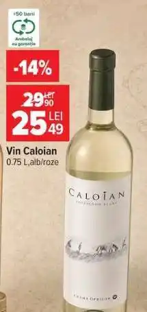 Carrefour Vin Caloian Ofertă