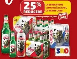 Penny ursus Ofertă