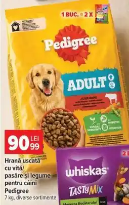 Carrefour Pedigree Adult Dog Food Ofertă