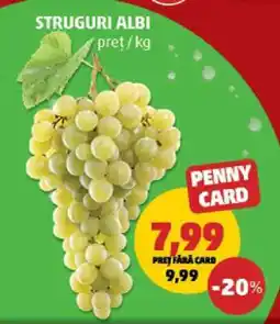 Penny Struguri albi Ofertă