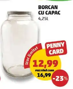 Penny Borcan cu capac Ofertă