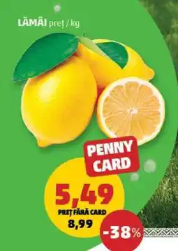 Penny Lămâi Ofertă