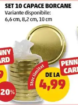Penny SET 10 CAPACE BORCANE Ofertă