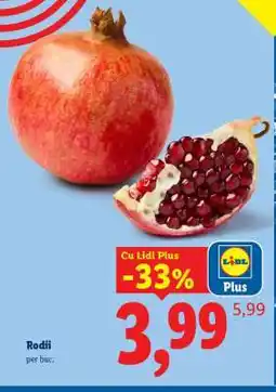 Lidl Rodii Ofertă