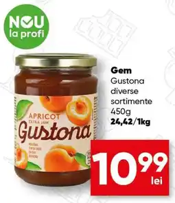 PROFI Gustona gem diverse sortimente Ofertă