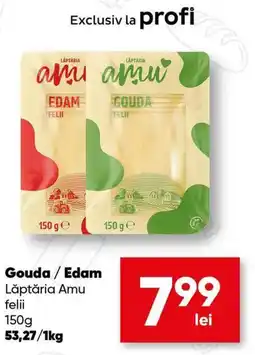 PROFI Lăptăria Amu Gouda / Edam Ofertă