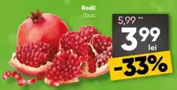 PROFI Rodii Ofertă
