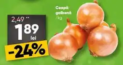 PROFI Ceapă galbenă Ofertă