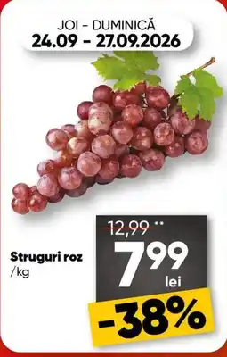 PROFI Struguri roz Ofertă