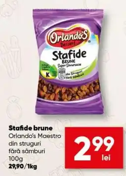 PROFI Orlando's Stafide brune Ofertă