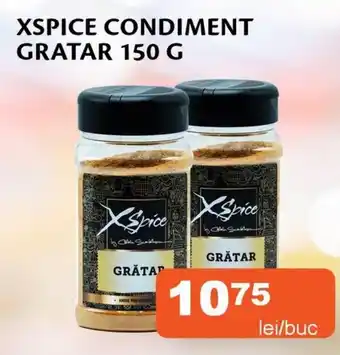 Xspice condiment grătar