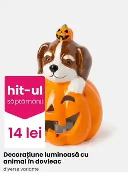 Pepco Decoratiune luminoasa cu animal in dovleac Ofertă