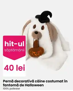 Pepco hit-ul săptămânii Pernă decorativă câine costumat în fantomă de Halloween Ofertă