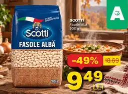 Annabella Scotti fasole albă Ofertă