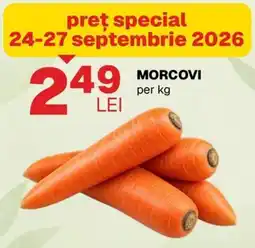 Annabella Morcovi Ofertă