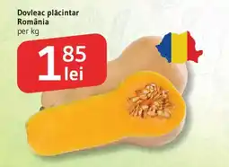 Supeco Dovleac plăcintar Ofertă