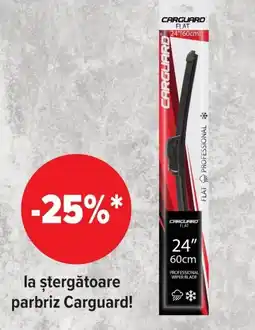 Carrefour Carguard stergătoare parbriz Ofertă