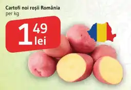 Supeco Cartofi noi roșii România Ofertă