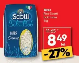 PROFI Scotti Bob cu Bob Ofertă