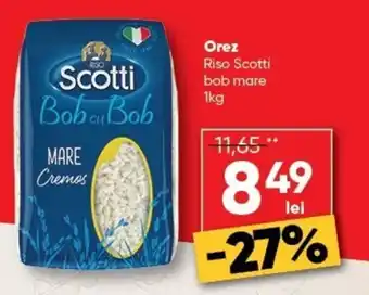 Scotti Bob cu Bob