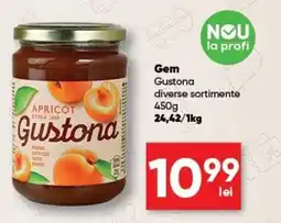 PROFI Gustona gem Ofertă