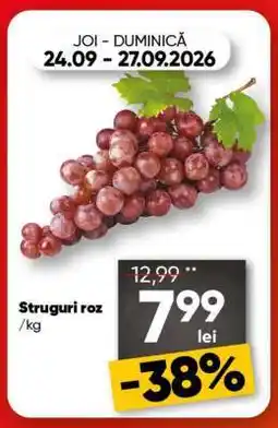 PROFI Struguri roz Ofertă