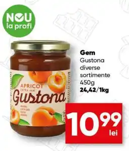 PROFI Gem Gustona Ofertă