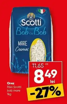 PROFI Riso Scotti bob mare 1kg Ofertă