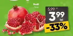 PROFI Rodii Ofertă