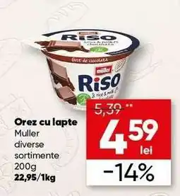PROFI Orez cu lapte MULLER Ofertă