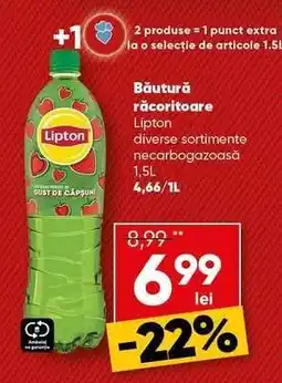 PROFI Băutură răcoritoare Lipton Ofertă