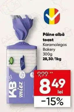 PROFI Pâine albă toast Ofertă