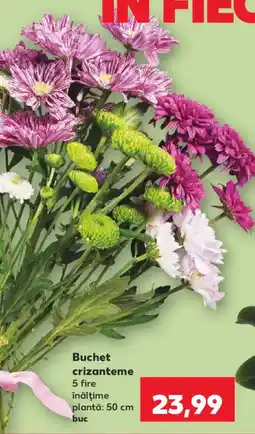 Kaufland Buchet crizanteme Ofertă