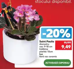 Kaufland Saint Paulia Ofertă