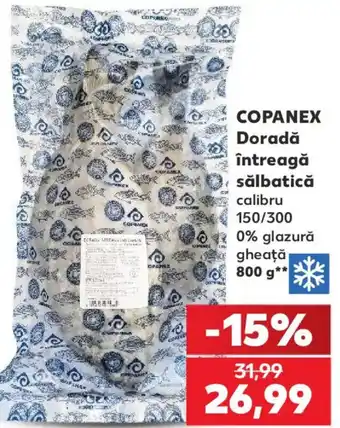 Copanex doradă întreagă sălbatică