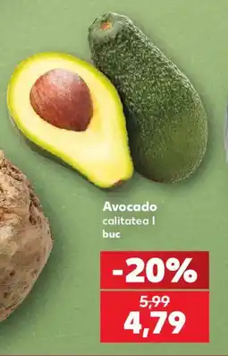 Kaufland Avocado Ofertă