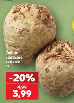 Kaufland Țelină rădăcină Ofertă