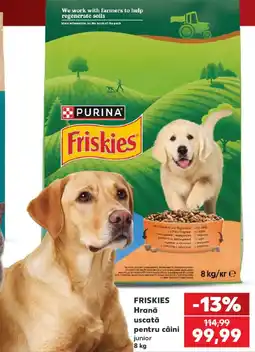 Kaufland Friskies Hrană uscată pentru câini junior Ofertă