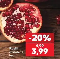 Kaufland Rodii calitatea I buc Ofertă