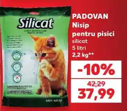 Kaufland PADOVAN Nisip pentru pisici Ofertă