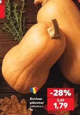 Kaufland Dovleac plăcintar Ofertă