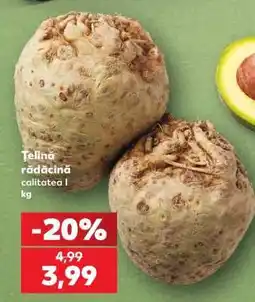 Kaufland Ţelină rădăcină Ofertă