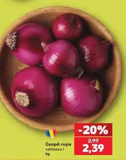 Kaufland Ceapă roşie Ofertă