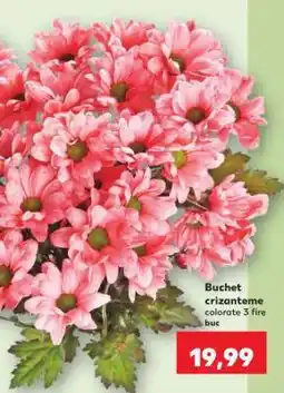 Kaufland Buchet crizanteme Ofertă