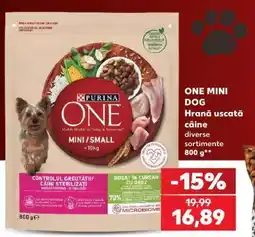 Kaufland ONE Mini Dog Ofertă