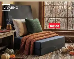 Kaufland Saltea pliabilă Ofertă
