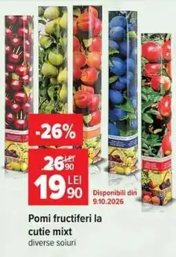Carrefour Pomi fructiferi la cutie mixt Ofertă