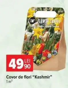 Carrefour Covor de flori 'Kashmir' Ofertă