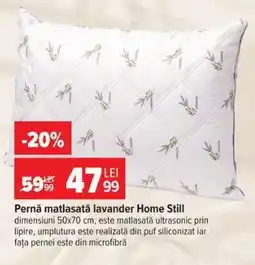 Carrefour Pernă matlasată lavander Home Still Ofertă